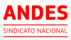 Eleições ANDES - SN 2020