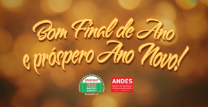 Bom final de ano e próspero Ano Novo!