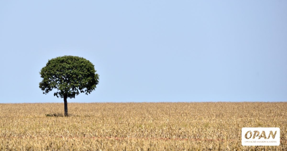 Lei de agrotóxicos sem limite é aprovada em Mato Grosso
