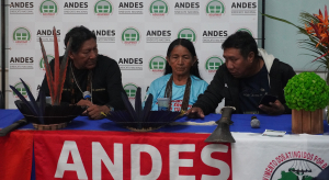 &ldquo;Podemos ter a liberdade de formar nossos filhos nessa universidade?&rdquo;, questionam povos ind&iacute;genas de Mato Grosso durante Territ&oacute;rios Amaz&ocirc;nicos II