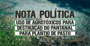 NOTA POLÍTICA DA DIRETORIA DA ADUFMAT-SSIND SOBRE USO DE AGROTÓXICOS PARA DESTRUIÇÃO DO PANTANAL PARA PLANTIO DE PASTO