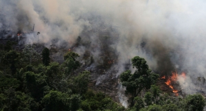 O coração arde: Final de semana será de manifestações em defesa da Amazônia